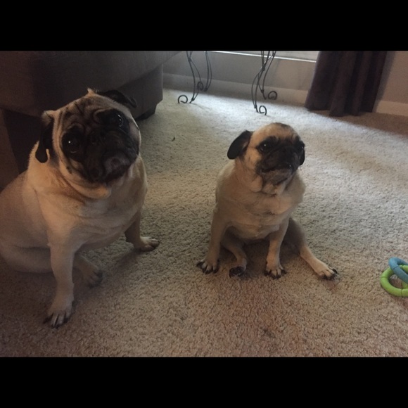 Meet your Posher, Angie - Picture 4 of 6